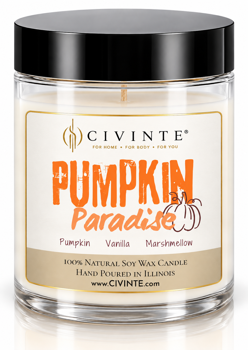 Pumpkin Paradise
